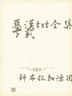 恶汉txt全集下载