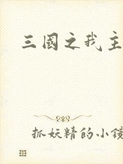 三国之我主沉浮