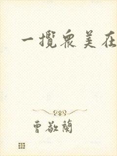 一揽众美在三国