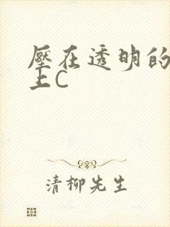 压在透明的玻璃上C