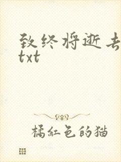 致终将逝去青春txt