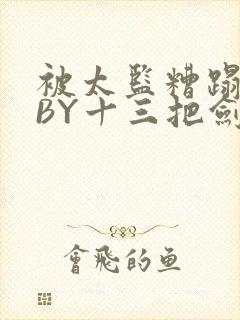 被太监糟蹋之后BY十三把剑