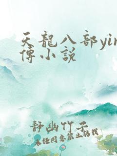 天龙八部yin传小说