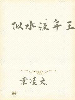 似水流年王小波