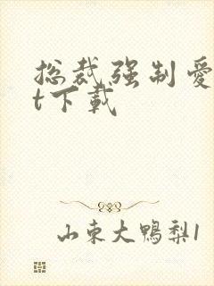 总裁强制爱txt下载