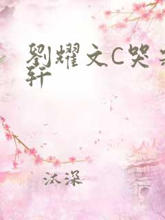 刘耀文C哭宋亚轩