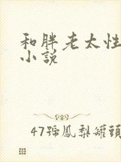 和胖老太性经历小说