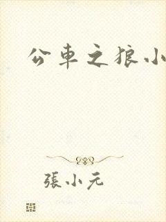 公车之狼小说