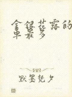 金银花露的哪个车最多