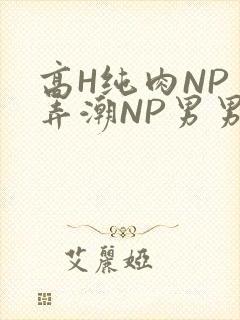 高H纯肉NP 弄潮NP男男