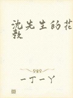 沈先生的花式调教