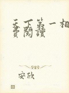 天下第一相书免费阅读