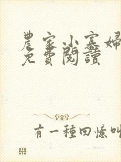 农家小寡妇全文免费阅读