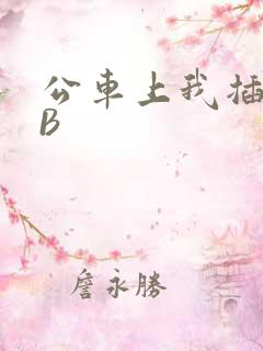 公车上我插上骚B