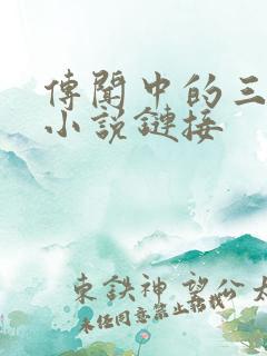 传闻中的三公主小说链接
