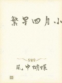 繁星四月小说