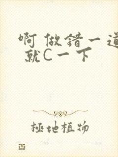 啊 做错一道题 就C一下