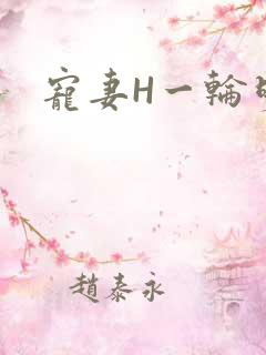 宠妻H一轮明月