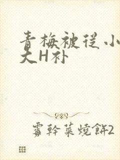 青梅被从小摸到大H补