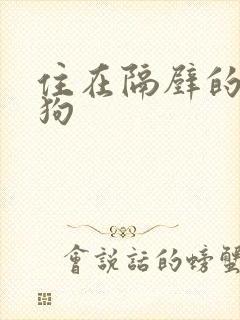 住在隔壁的小狼狗