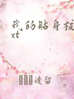 我的贴身校花txt