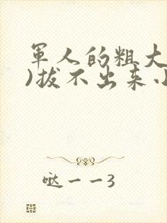 军人的粗大(h)拔不出来小说