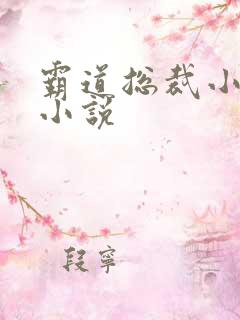 霸道总裁小娇妻小说