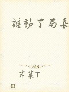 谁动了局长夫人