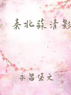 秦北苏清影小说