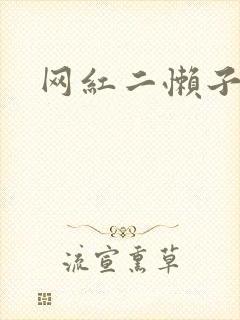 网红二懒子车祸