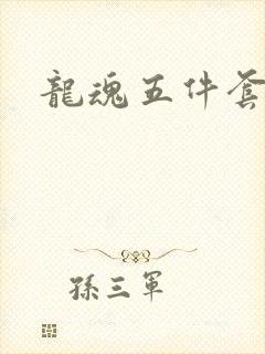 龙魂五件套