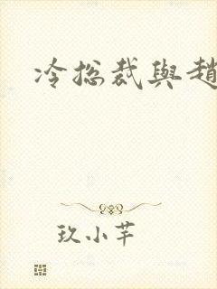 冷总裁与赵大牌