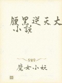 腹黑逆天大小姐 小说