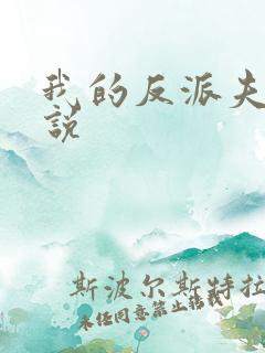 我的反派夫君小说