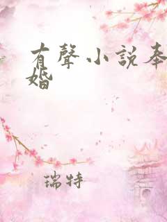 有声小说奉子成婚