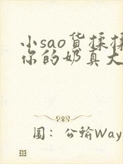 小sao货揉揉你的奶真大电影