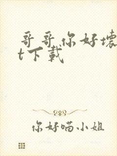 哥哥你好坏txt下载