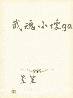 武魂小坏ga