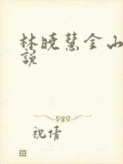 林晓慧金山的小说