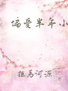 偏爱半年小说