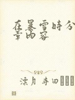 在暴雪时分54章内容