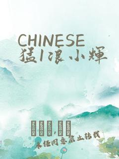 CHINESE猛1浪小辉