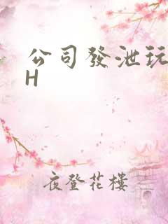 公司发泄玩具lH