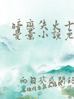 暗恋失火十年的爱意小说免费阅读