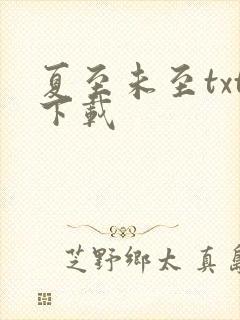 夏至未至txt下载