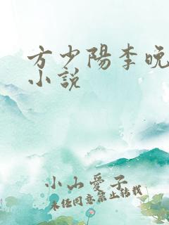 方少阳李晚晴的小说