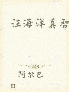 汪海洋真智师太