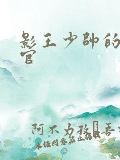 影王少帅的女长官