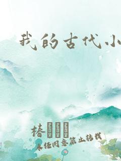 我的古代小夫侍