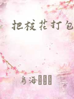 把校花打包带走